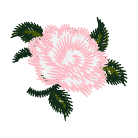 Illustration Flowers Illustration Flowers