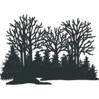 Illustration Flowers Illustration Flowers