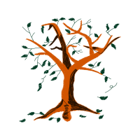 Illustration Flowers Illustration Flowers