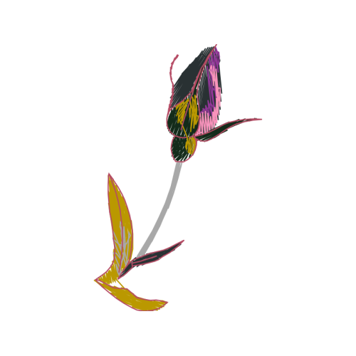 Illustration Flowers Illustration Flowers