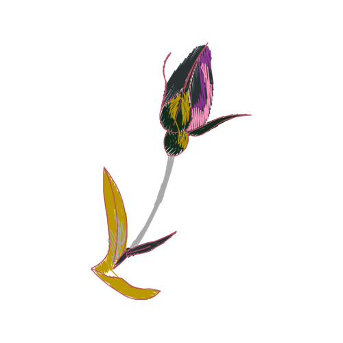 Illustration Flowers Illustration Flowers