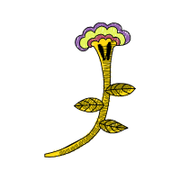 Illustration Flowers