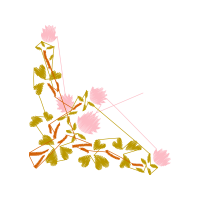 Illustration Flowers