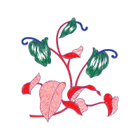 Illustration Flowers