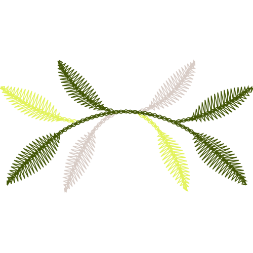 Illustration Flowers Illustration Flowers