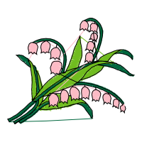 Illustration Flowers Illustration Flowers