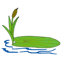 Illustration Flowers Illustration Flowers