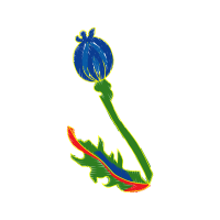 Illustration Flowers