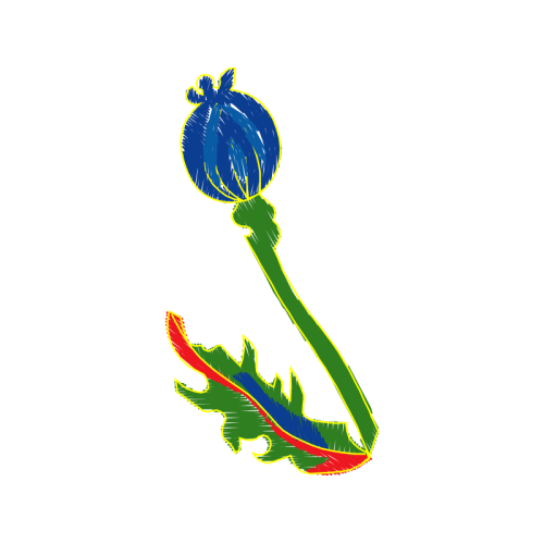 Illustration Flowers Illustration Flowers