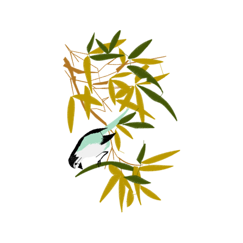 Illustration Flowers Illustration Flowers