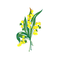 Illustration Flowers