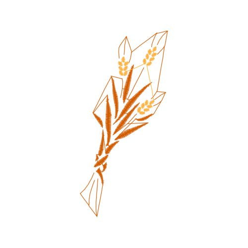 Illustration Flowers Illustration Flowers