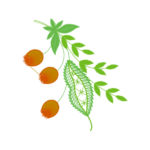 Illustration Flowers Illustration Flowers