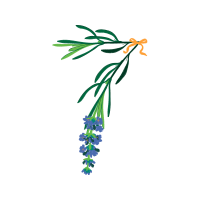 Illustration Flowers Illustration Flowers