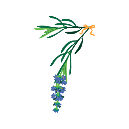 Illustration Flowers Illustration Flowers