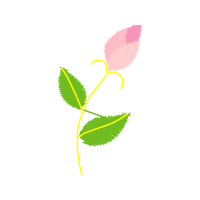 Illustration Flowers Illustration Flowers