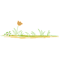 Illustration Flowers Illustration Flowers