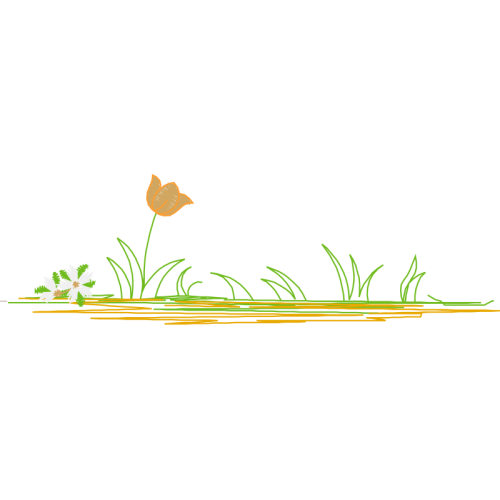 Illustration Flowers Illustration Flowers