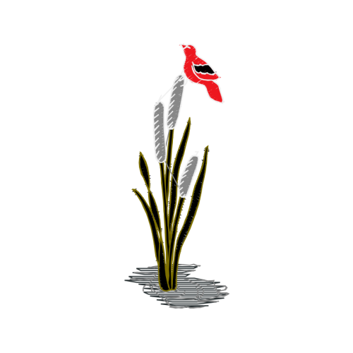 Illustration Flowers Illustration Flowers