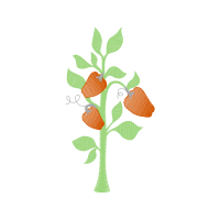 Illustration Flowers Illustration Flowers