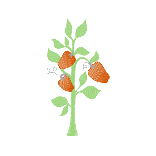 Illustration Flowers Illustration Flowers