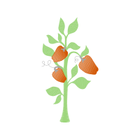 Illustration Flowers Illustration Flowers