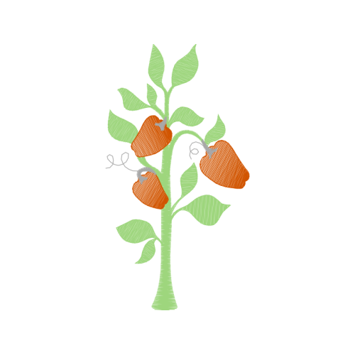 Illustration Flowers Illustration Flowers