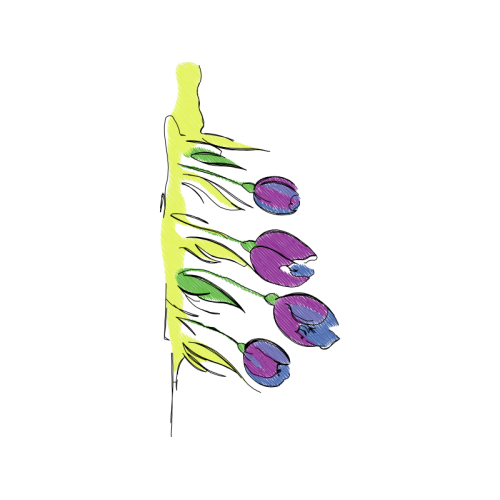 Illustration Flowers Illustration Flowers