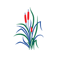 Illustration Flowers Illustration Flowers