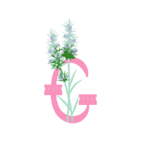 Illustration Flowers Illustration Flowers