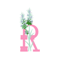Illustration Flowers Illustration Flowers