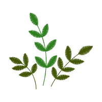 Illustration Flowers Illustration Flowers