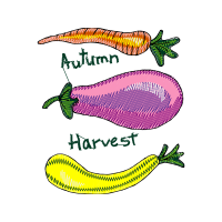 Illustration Flowers Illustration Flowers