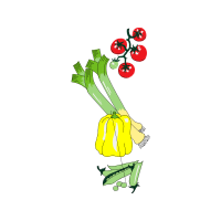 Illustration Flowers Illustration Flowers