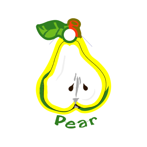 Illustration Flowers Illustration Flowers