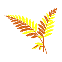 Illustration Flowers