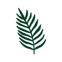 Illustration Flowers Illustration Flowers