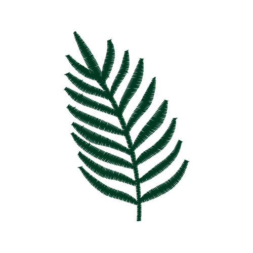 Illustration Flowers Illustration Flowers