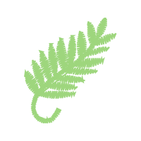 Illustration Flowers