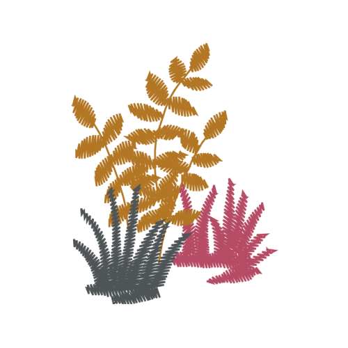 Illustration Flowers Illustration Flowers