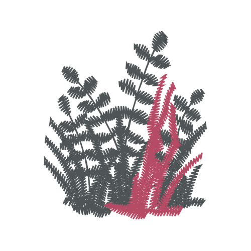 Illustration Flowers Illustration Flowers