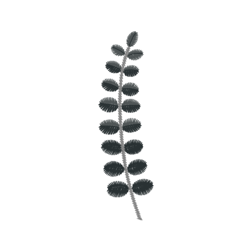 Illustration Flowers Illustration Flowers