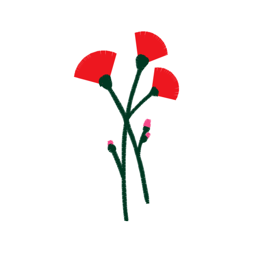 Illustration Flowers Illustration Flowers