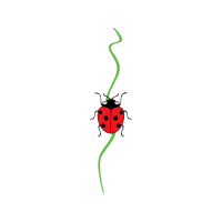 Illustration Flowers