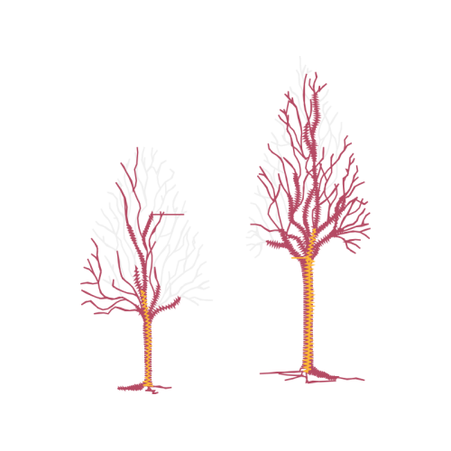 Illustration Flowers Illustration Flowers