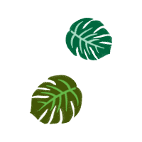 Illustration Flowers Illustration Flowers