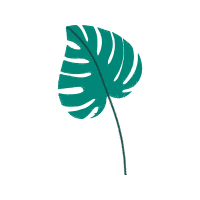 Illustration Flowers Illustration Flowers