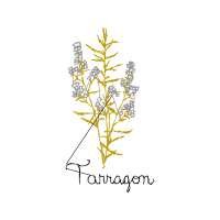 Illustration Flowers