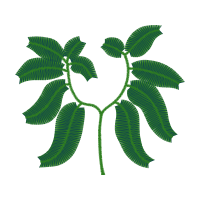 Illustration Flowers Illustration Flowers