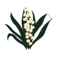 Illustration Flowers Illustration Flowers